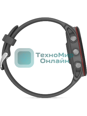 Смарт-часы Garmin Forerunner 255 темно-серый 45,6мм