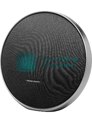 Портативная акустика Harman Kardon HKOS9BLKUK черный