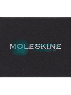 Шильд-символ Moleskine Zodiac Близнецы, металл, серебристый, коробка с европодвесом, PINGEMINISILV