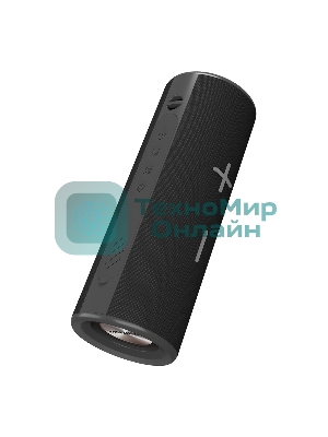 Портативная колонка Soundmax SM-PS5024B черный