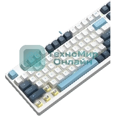 Клавиатура проводная A4Tech Fstyler FS300 (FS300 PANDA SNOWBOARDING), USB, белый/синий