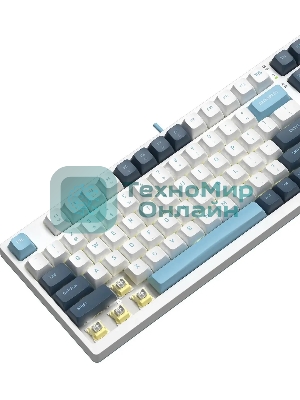 Клавиатура проводная A4Tech Fstyler FS300 (FS300 PANDA SNOWBOARDING), USB, белый/синий