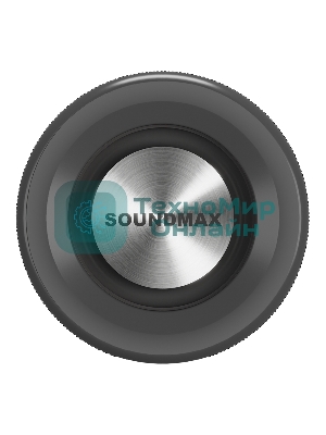 Портативная колонка Soundmax SM-PS5024B черный