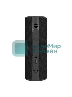 Портативная колонка Soundmax SM-PS5024B черный