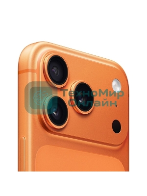 Смартфон Apple iPhone 17 Pro Max 12/256Gb, оранжевый
