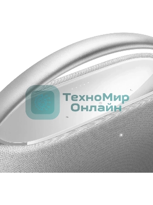 Портативная акустика HKGOPLAY3GRYUK серый