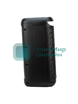 Акустическая система ELTRONIC (30-44) DANCE BOX 900 - колонка 06