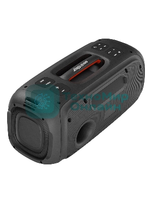 Акустическая система Smartbuy EVOLUTION 2, черный