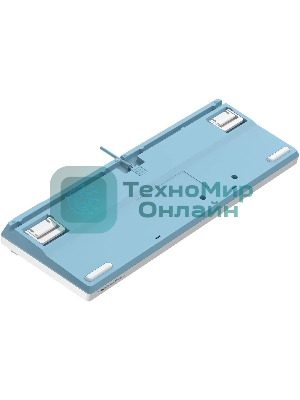 Клавиатура проводная A4Tech Fstyler FS300 (FS300 PANDA SNOWBOARDING), USB, белый/синий