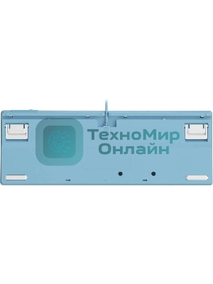 Клавиатура проводная A4Tech Fstyler FS300 (FS300 PANDA SNOWBOARDING), USB, белый/синий