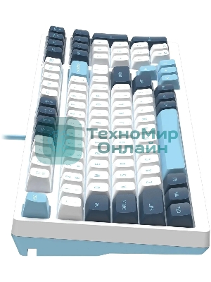 Клавиатура проводная A4Tech Fstyler FS300 (FS300 PANDA SNOWBOARDING), USB, белый/синий