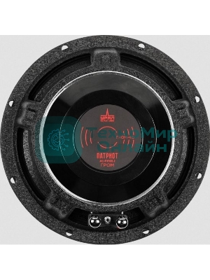 Колонки автомобильные Ural АС-ПТ165.2 ГРОМ (без решетки) 600Вт 99.7дБ 4Ом 16.5 см (6 1/2 дюйм) (ком.: 1 кол.) широкополосные однополосные