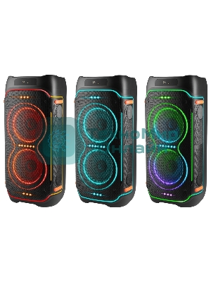 Портативная колонка Defender Boomer 200