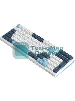 Клавиатура проводная A4Tech Fstyler FS300 (FS300 PANDA SNOWBOARDING), USB, белый/синий