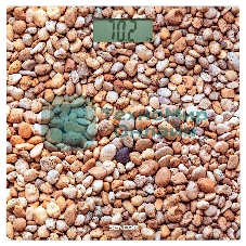 Персональные весы Sencor