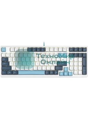 Клавиатура проводная A4Tech Fstyler FS300 (FS300 PANDA SNOWBOARDING), USB, белый/синий