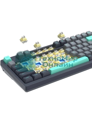 Клавиатура проводная A4Tech Fstyler FS300 механическая черный/серый USB for gamer LED (FS300 PANDA ROCK)