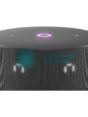 Умная колонка Яндекс Станция Мини 3, 12Вт, компактная, 1 динамик, часы, управление умным домом, Wi-Fi, Bluetooth 5.0, Алиса, черный