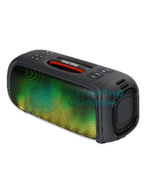 Акустическая система Smartbuy EVOLUTION 2, черный