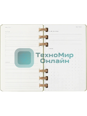 Еженедельник Moleskine ACADEMIC SPIRAL DHSPK5212AMWH3 Large 150х210 мм 200 стр. кремовые страницы спираль киви