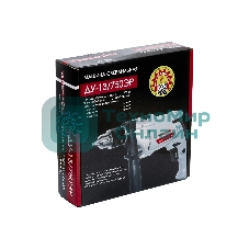 Дрель ударная ИНТЕРСКОЛ ДУ-13/750ЭР 546.1.0.00