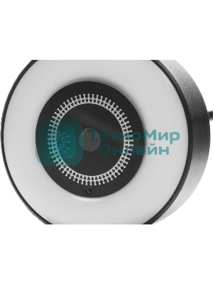 Веб-камера Ritmix RVC-250 2592x1944, 30 кадр/с, USB Type-A, микрофон, автоматическая фокусировка, универсальное крепление