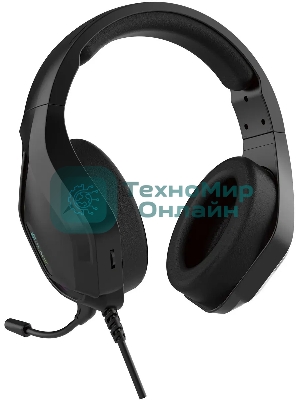 Наушники с микрофоном Oklick HS-L600G черный 2.2м мониторные USB оголовье (1939588)