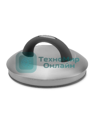 Чайник для плиты Starwind Chef Family 2.8 л, серебристый, металлический (SW-CH1106)