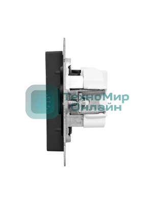 Розетка EKF UP1-SOB-100 СП Эпика 16А без заземл. без шторок механизм черный