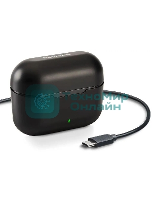 Наушники TWS Panasonic RZ-B310WDG-K черный, внутриканальные, Bluetooth, активное шумоподавление