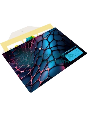 Конверт на кнопке Silwerhof Web A4 пластик 0.25мм