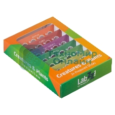 Набор микропрепаратов Levenhuk LABZZ CP24, существа и растения (72870)