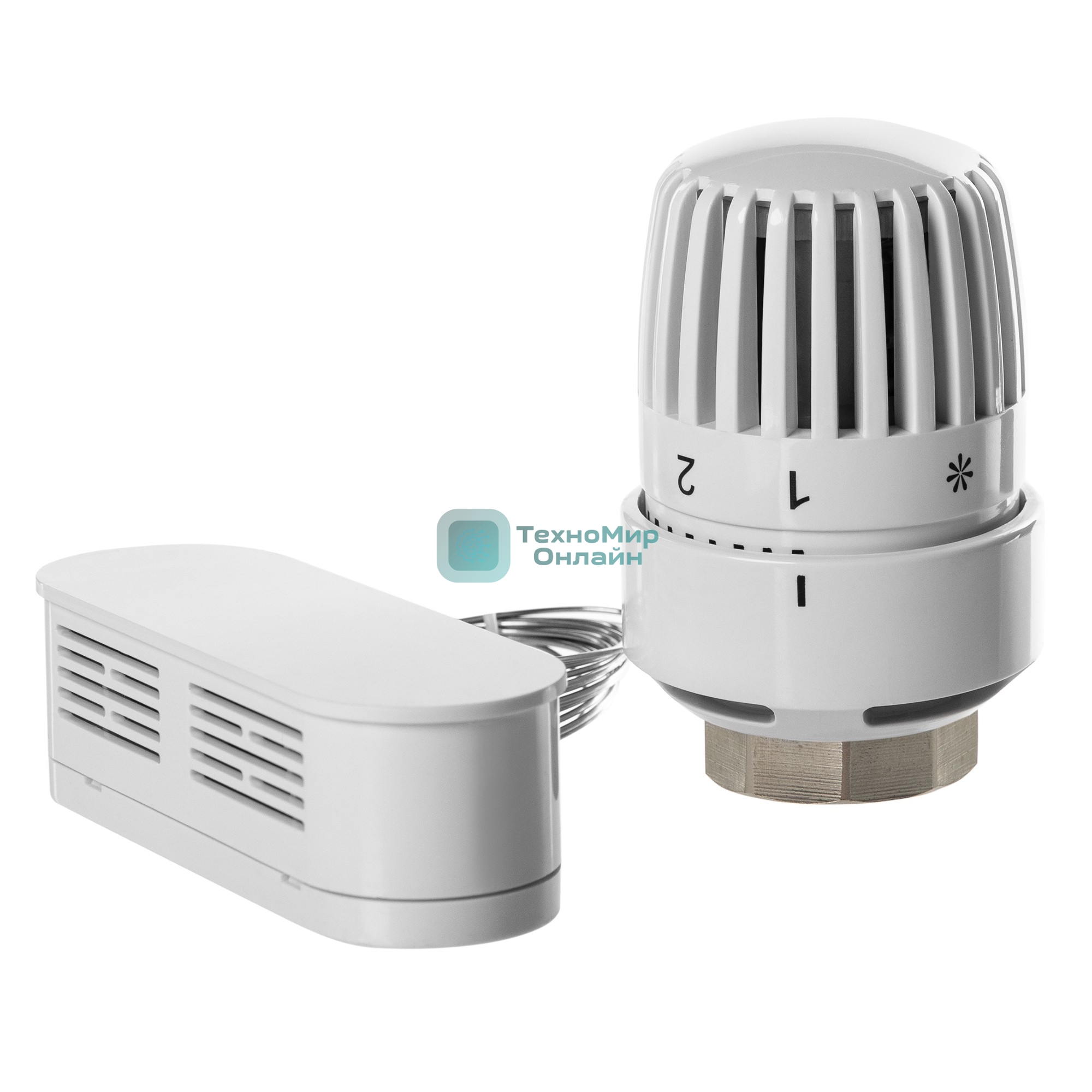 Термоголовка жидкостная Royal Thermo BASIC с выносным датчиком М30х1,5