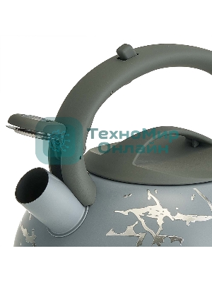 Чайник для плиты ALPENKOK AK-540 3 л