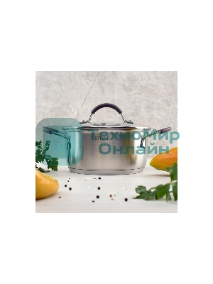 Кастрюля TalleR TR-11023