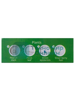 Набор микропрепаратов Levenhuk LABZZ CP24, существа и растения (72870)