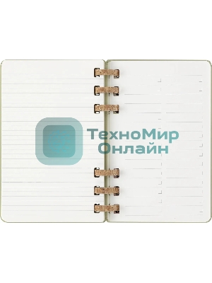 Еженедельник Moleskine ACADEMIC SPIRAL DHSPK5212AMWH3 Large 150х210 мм 200 стр. кремовые страницы спираль киви