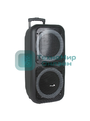 Колонка Eltronic 08