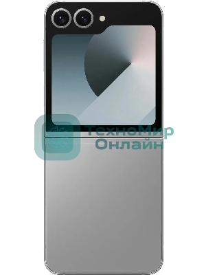 Смартфон Samsung Galaxy Z Flip 6 5G, 12/256Gb, серый