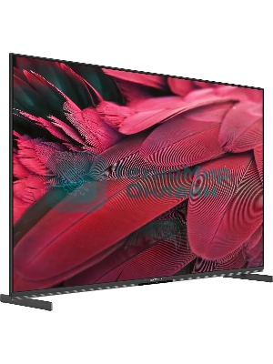 Телевизор Skyworth 55