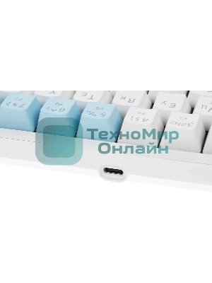 Клавиатура Defender Amox GK-585 проводная, USB Type-A, белый