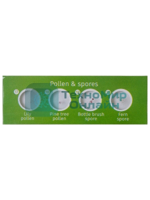 Набор микропрепаратов Levenhuk LABZZ CP24, существа и растения (72870)