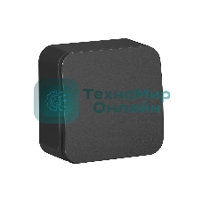 Выключатель 1-кл. ОП Blanca (сх.1) 10А 250 В изол. пласт. антрацит SchE