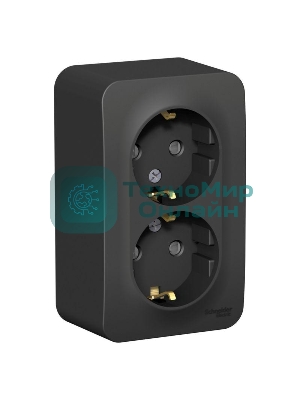 Розетка 2-ая с/з со шторками 16А,250 В, изолир. пластина SE Blanca наруж Антрацит