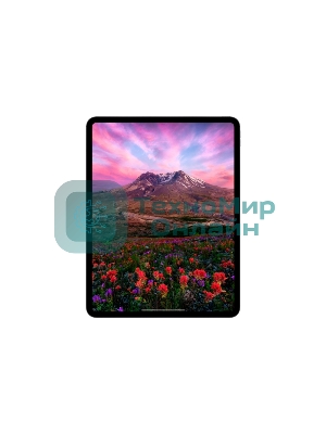 Планшет Apple iPad Pro 2024 A2836 11