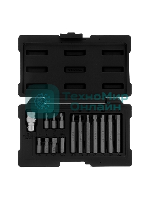 Набор бит Stels TORX, хвостовик-шестигранник, 10 мм, CrV, 15 предм.