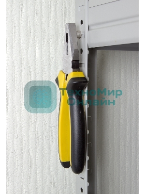 Неодимовый магнит диск Rexant 10х10мм сцепление 3,7 кг (упаковка 2 шт)