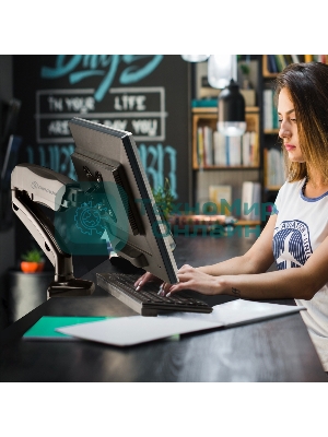 Кронштейн (держатель) ONKRON G80 для монитора 13