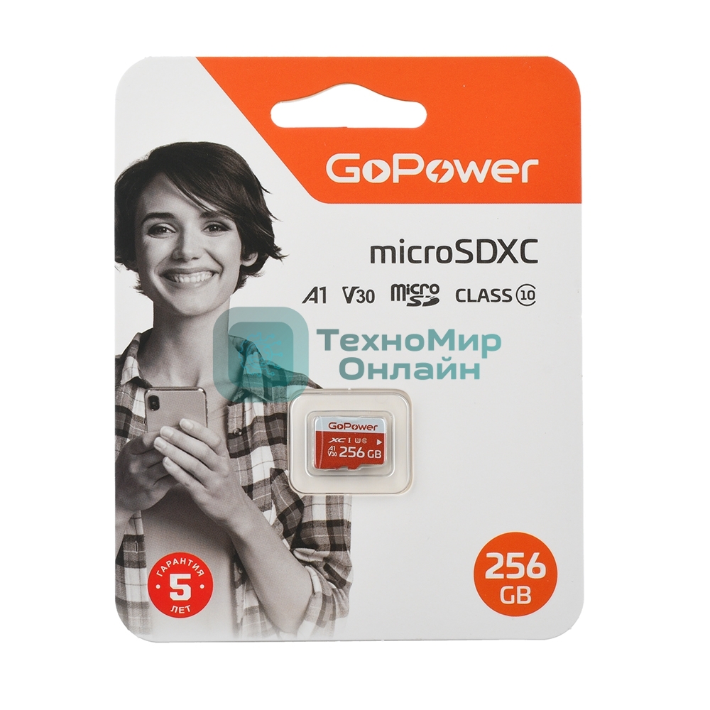 Флеш карта microSD GoPower 256Gb Class10 UHS-I (U3) 100 МБ/сек V30 без адаптера
