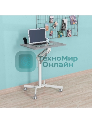 Стол для ноутбука Cactus VM-FDS101B столешница МДФ серый 70x52x106см (CS-FDS101WGY)